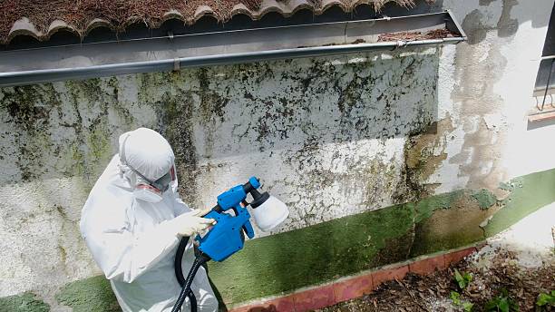 Top rated local Hvac And Air Duct Mold Remediation specialists in Garrett, WA